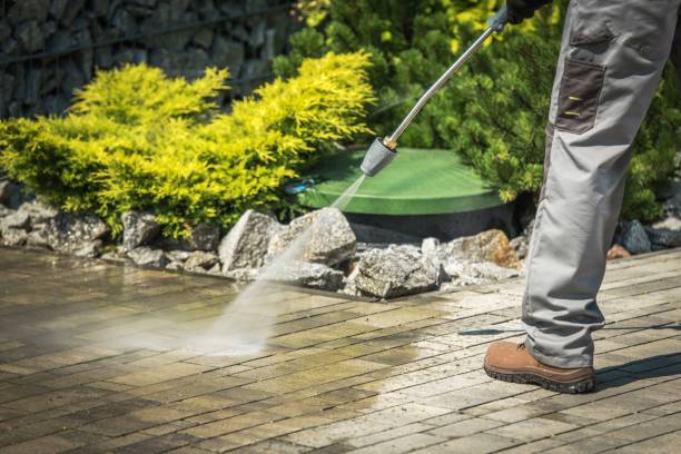 Boat and Dock Cleaning in Alpine, CA